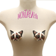 Illustration for article titled NIPPLE NEWS: Grumpy Cat Pasties are a thing